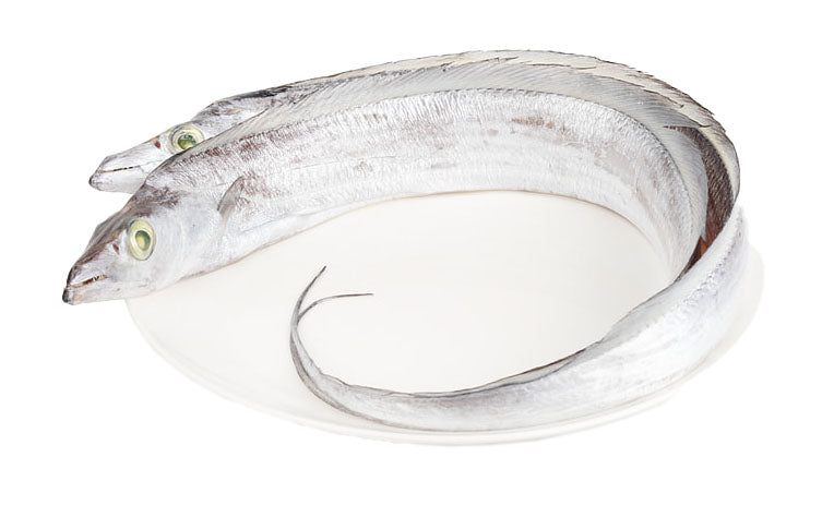 Gürtelfisch TK ganz B (1000-1500g) 10kg in Block