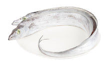 Gürtelfisch TK ganz B (500-700g) 10kg in Block