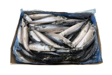 Makrelen m Kopf 300-500g TK 20kg Block 