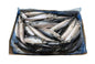 Makrelen m Kopf 300-500g TK 20kg Block 