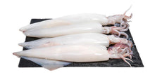 Tintenfisch Loligo, TK  ganz 6-10  12kg in Block